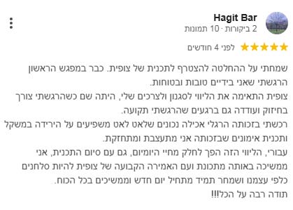 ביקורת גוגל 2
