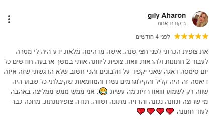 ביקורת גוגל 3